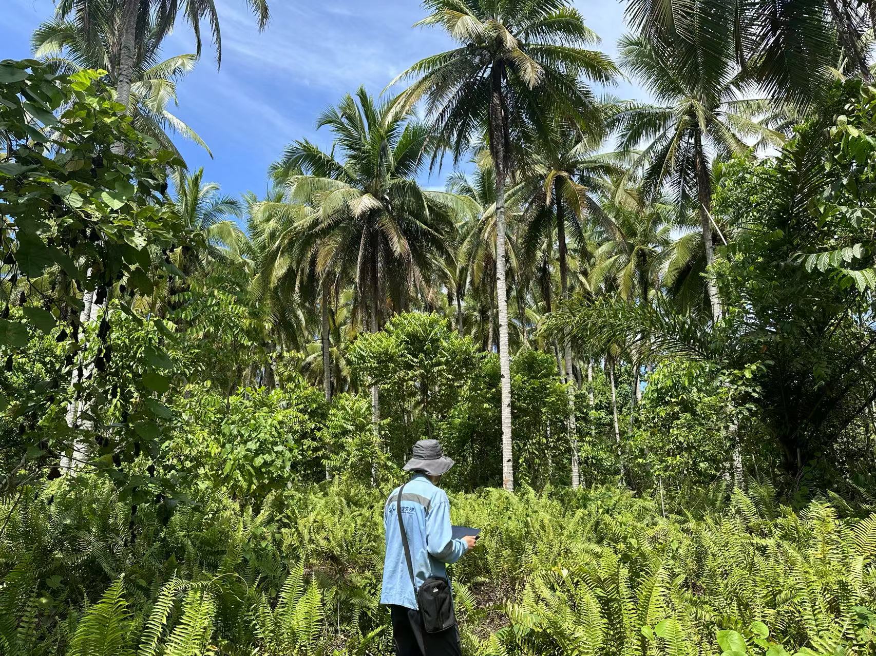 起步即冲刺！ 二航院国际公司春节期间大力推进经营生产工作纪实