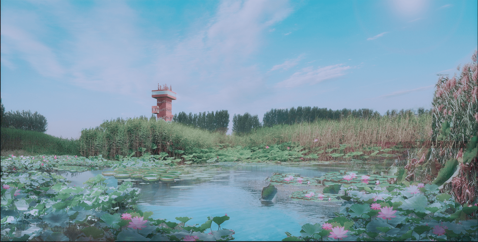 孝义河河口湿地水质净化工程