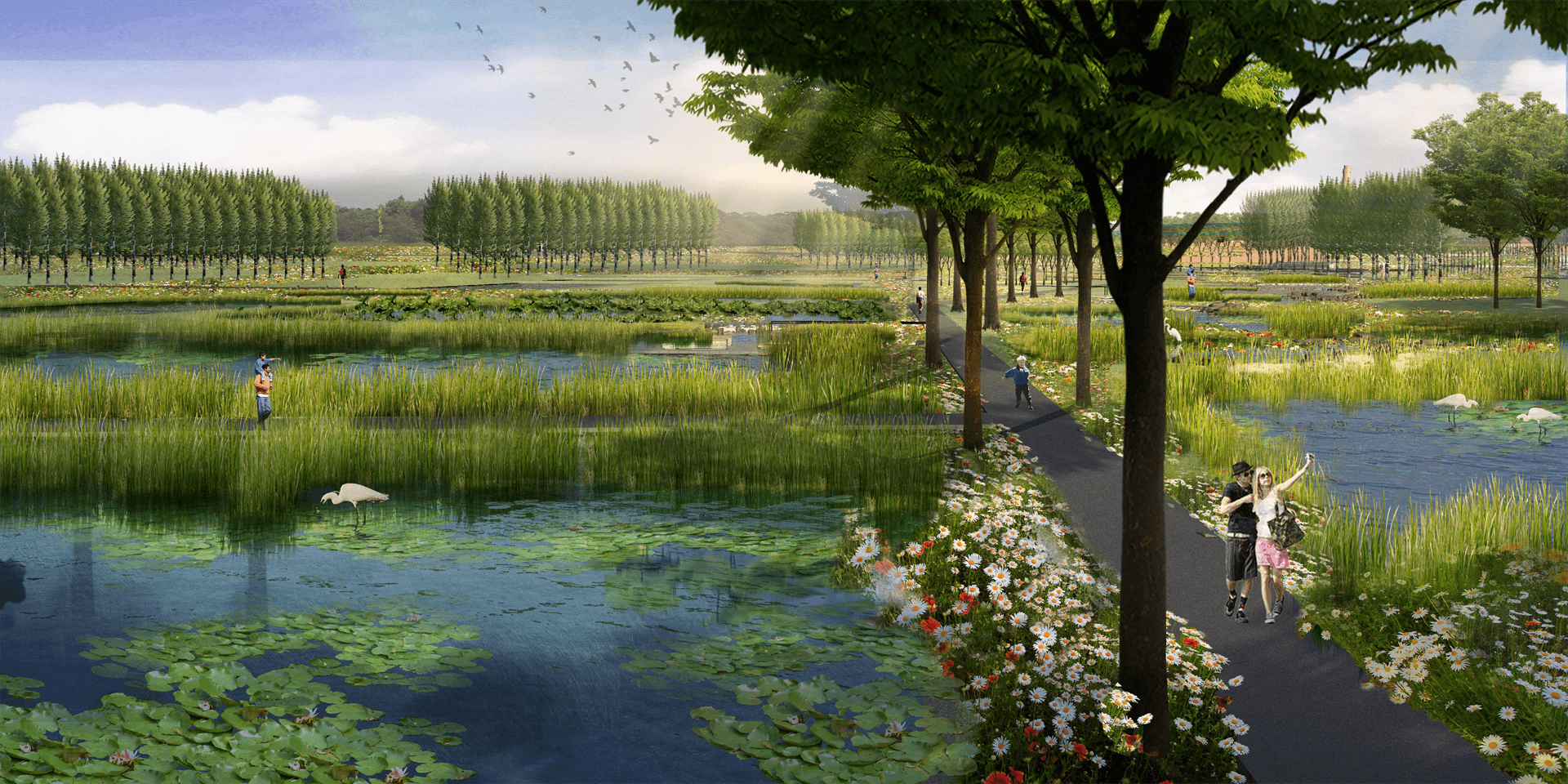 孝义河河口湿地水质净化工程