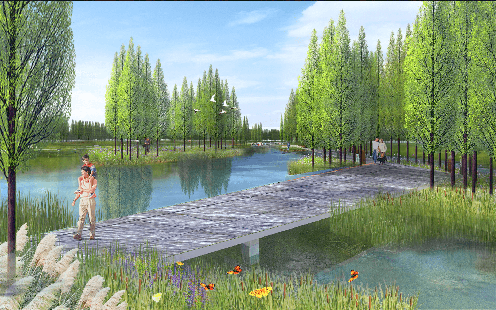 孝义河河口湿地水质净化工程