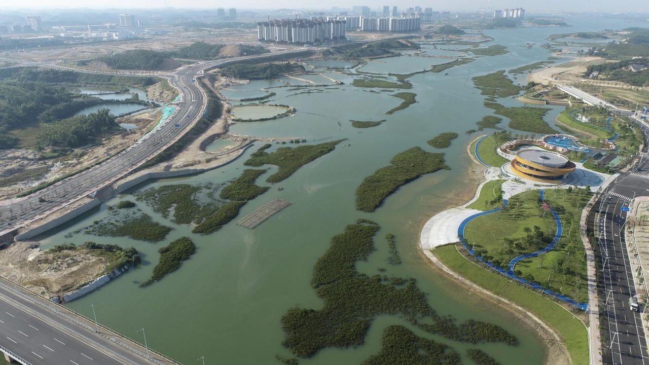 公司参与设计的2020年钦州市蓝色海湾整治行动项目通过验收